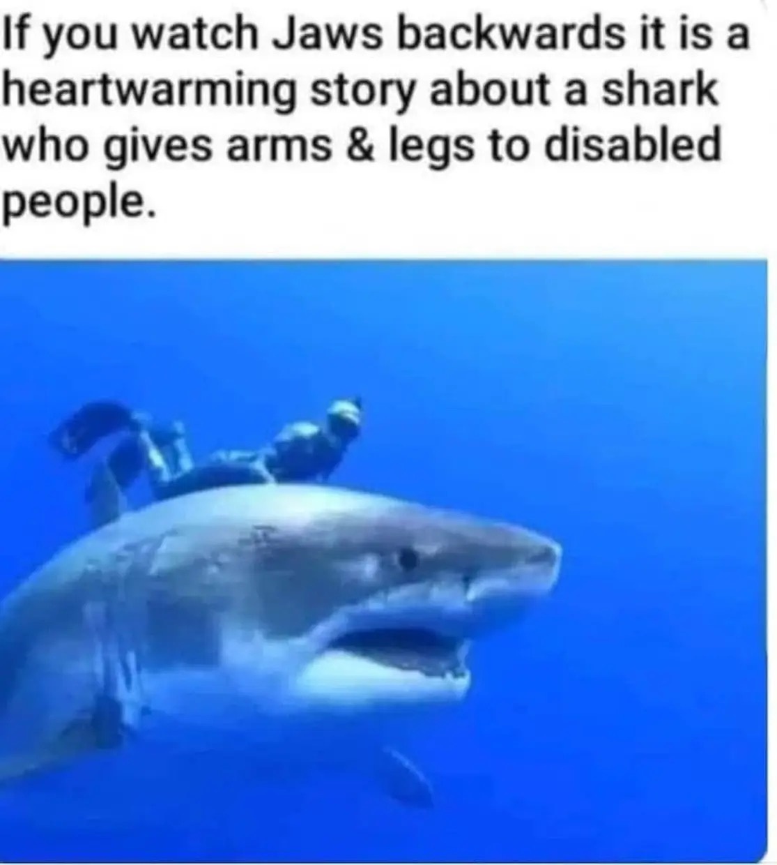 0icMkSW.jpeg