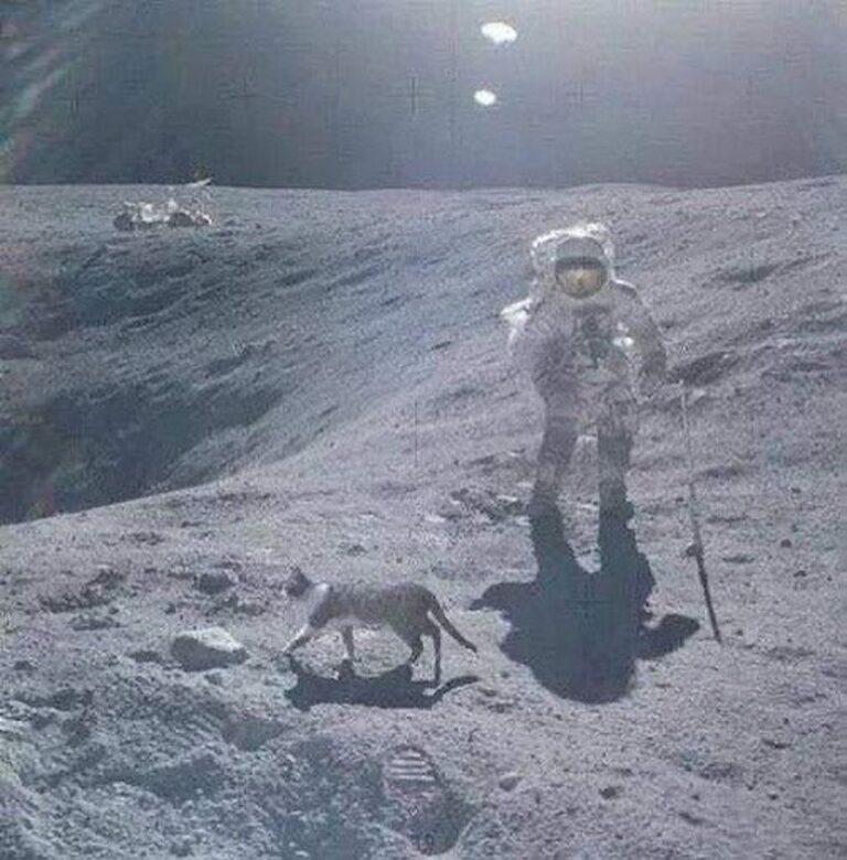 18e4M4f.jpeg