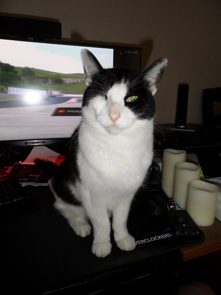 2hZC3XSh.webp