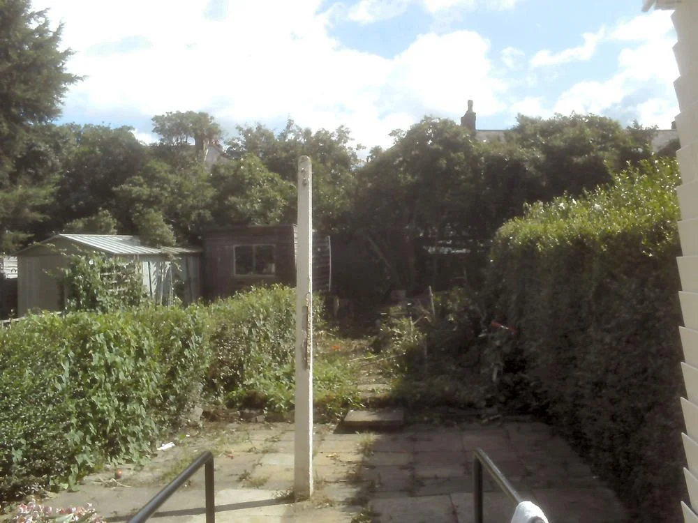 4G6Rdm8.webp