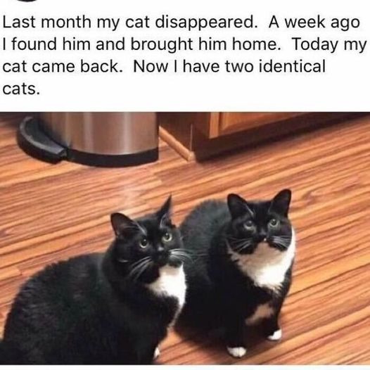 51Ci2Hn.jpeg