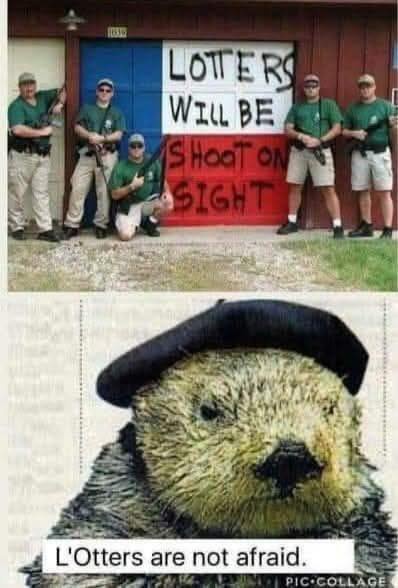 5LuCpRV.jpeg