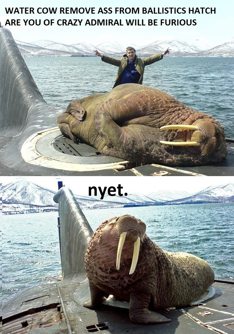 5lxQjUO.jpg