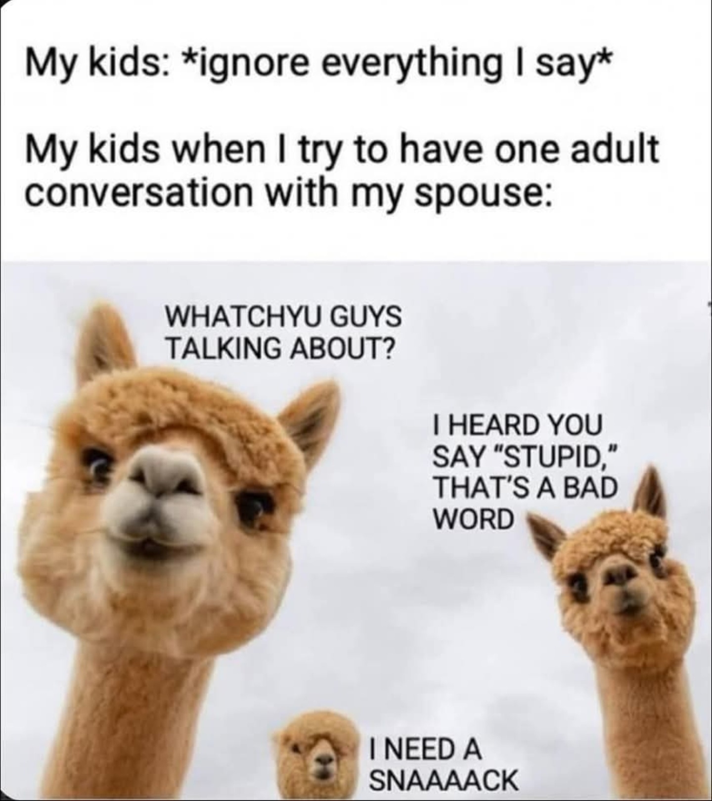 6aD5Mul.jpeg