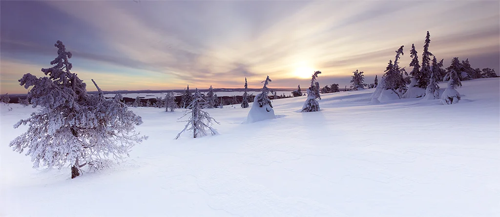 6gNjIOE.webp