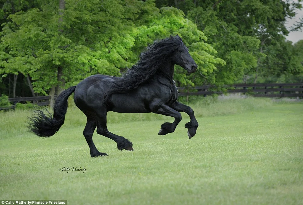 6ZyIZOm.webp