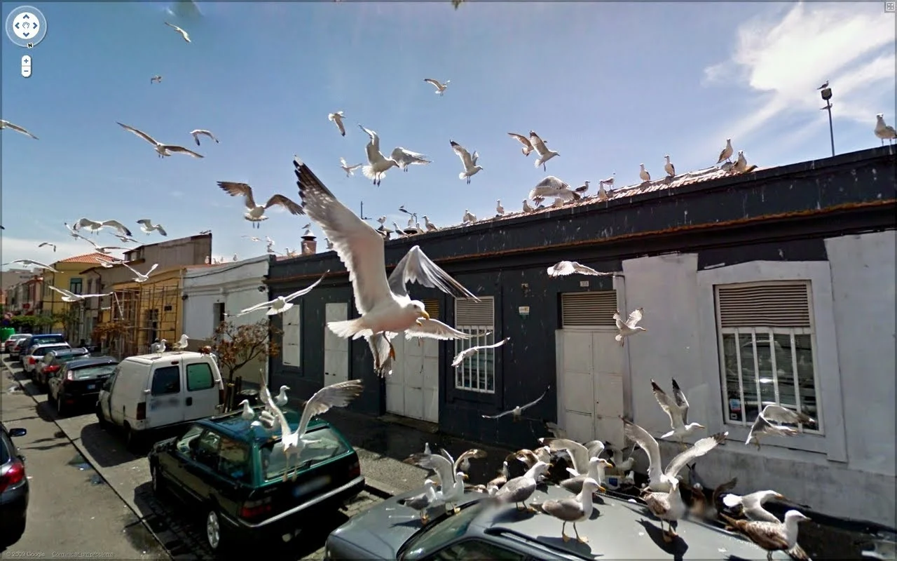 7HDPPJI.webp