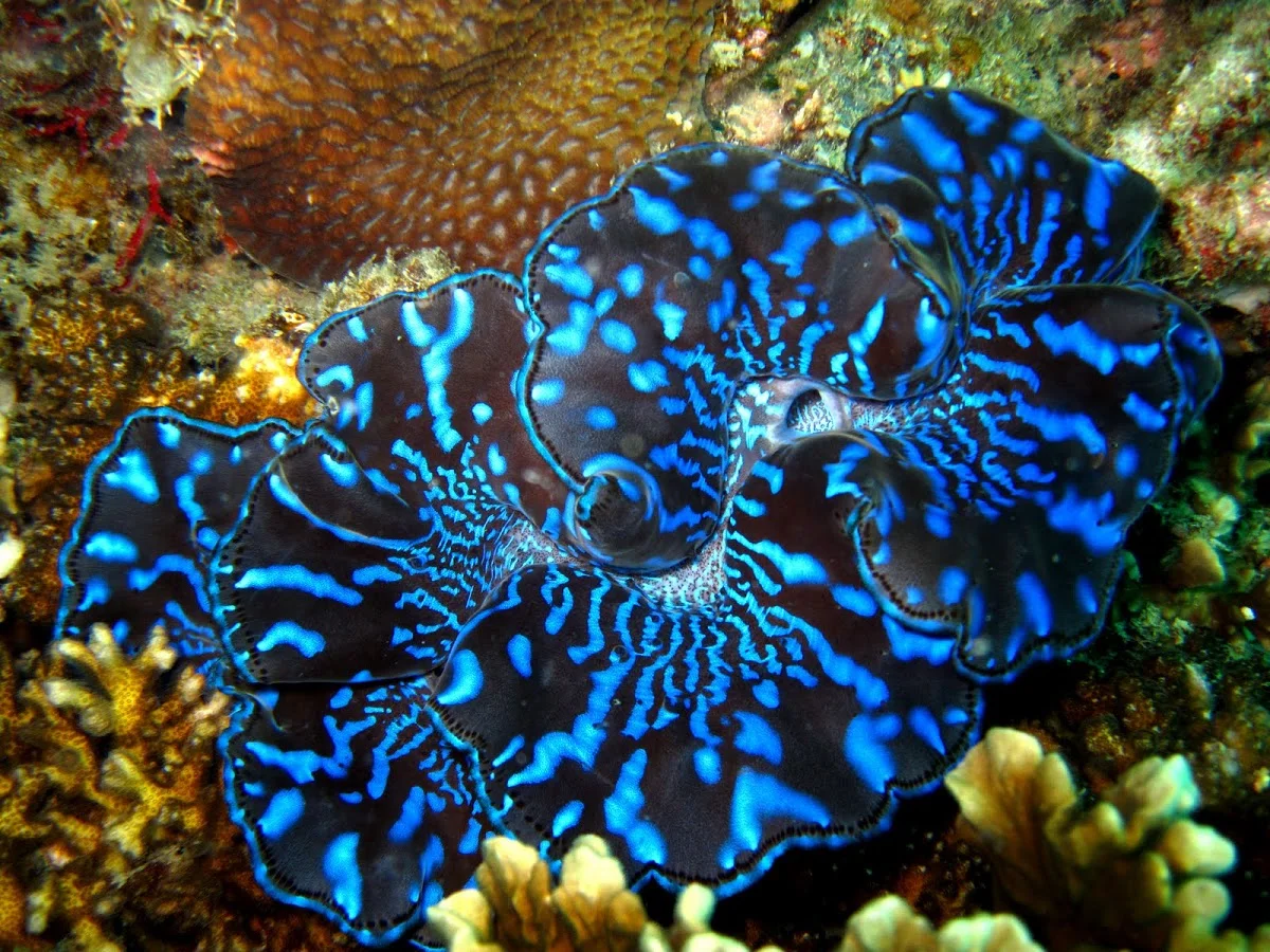 7HxeM8c.webp
