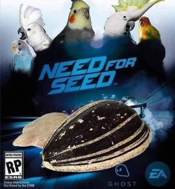 7lDVs7k.jpeg