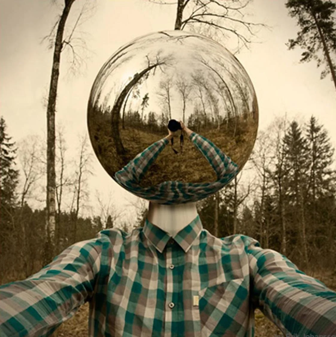 7MqrLEv.webp