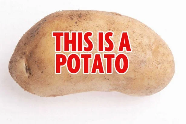 8mFFjOc.webp