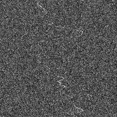 8vdri.webp