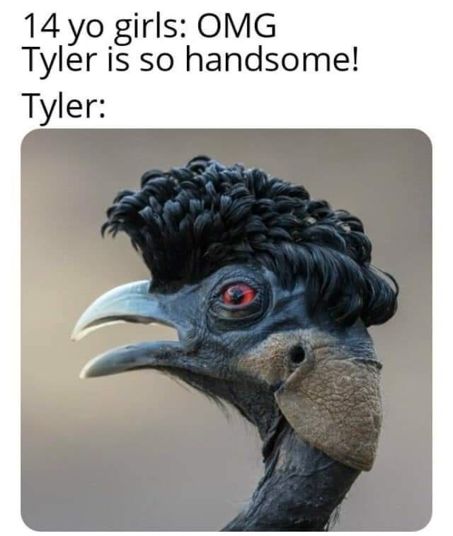 9FcYg2P.jpg