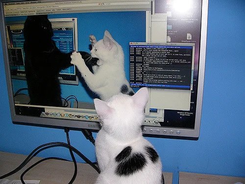 9hbneXs.webp