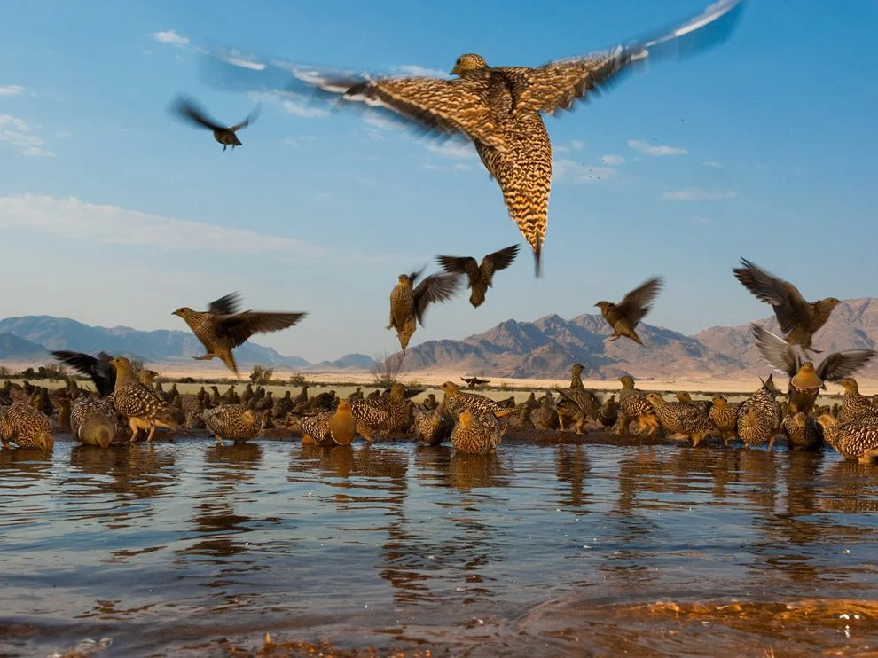 ab3v27H.webp