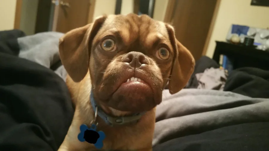 AJgwDP2.webp