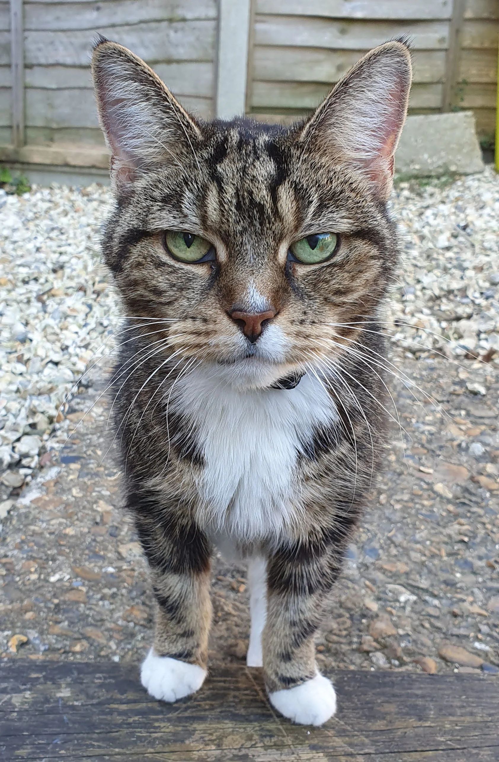 ak72wfn.webp