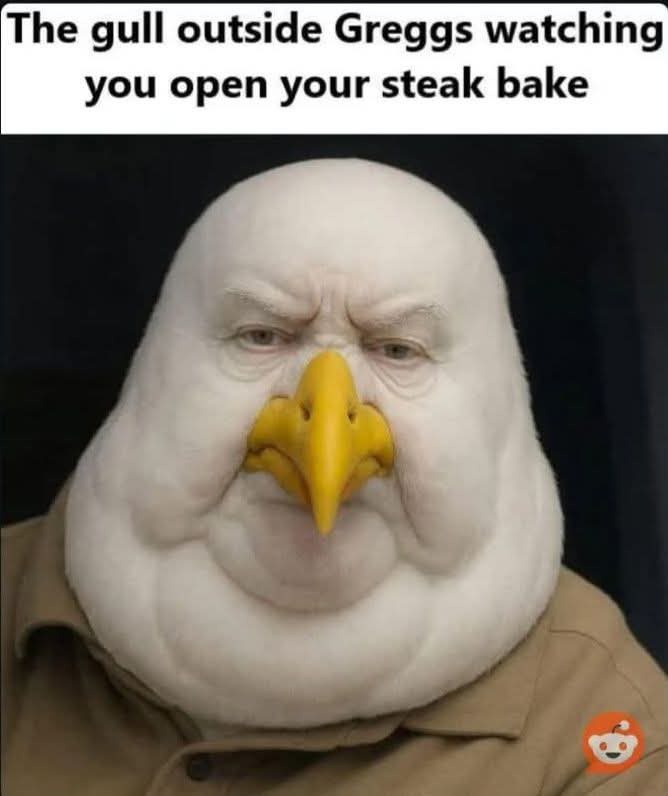 BpTequC.jpeg