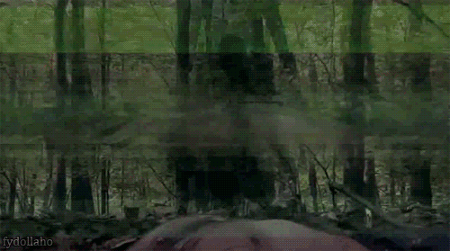 c114ICR.gif