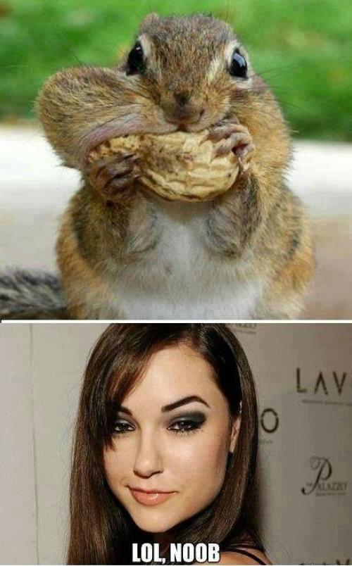 cICNiPU.jpg