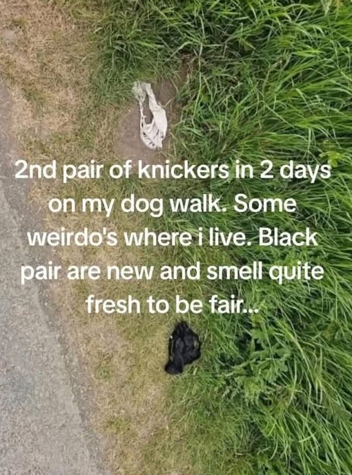 cpgnpS8.jpeg