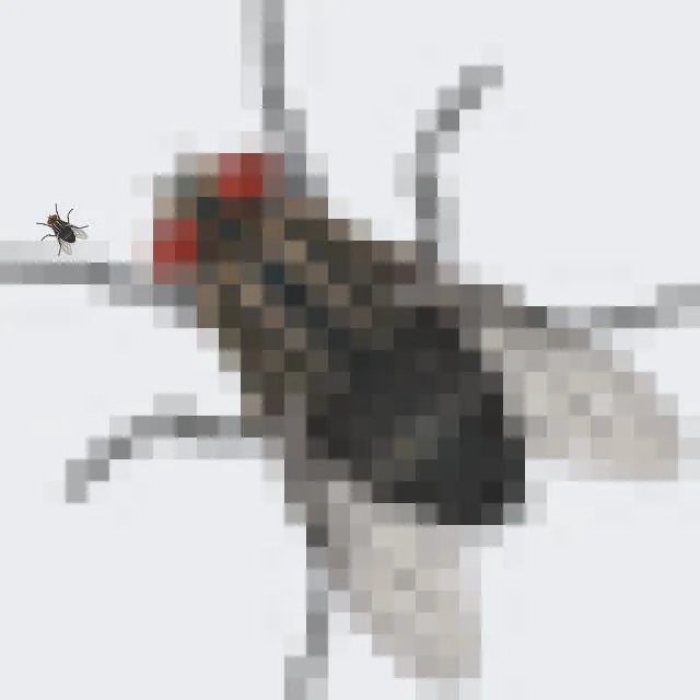 CRt7Qwa.webp