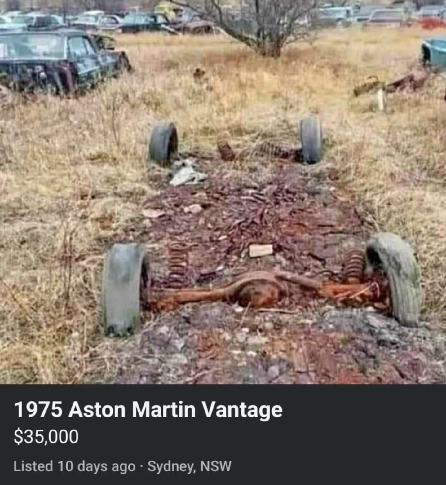 cv4ovjH.jpeg
