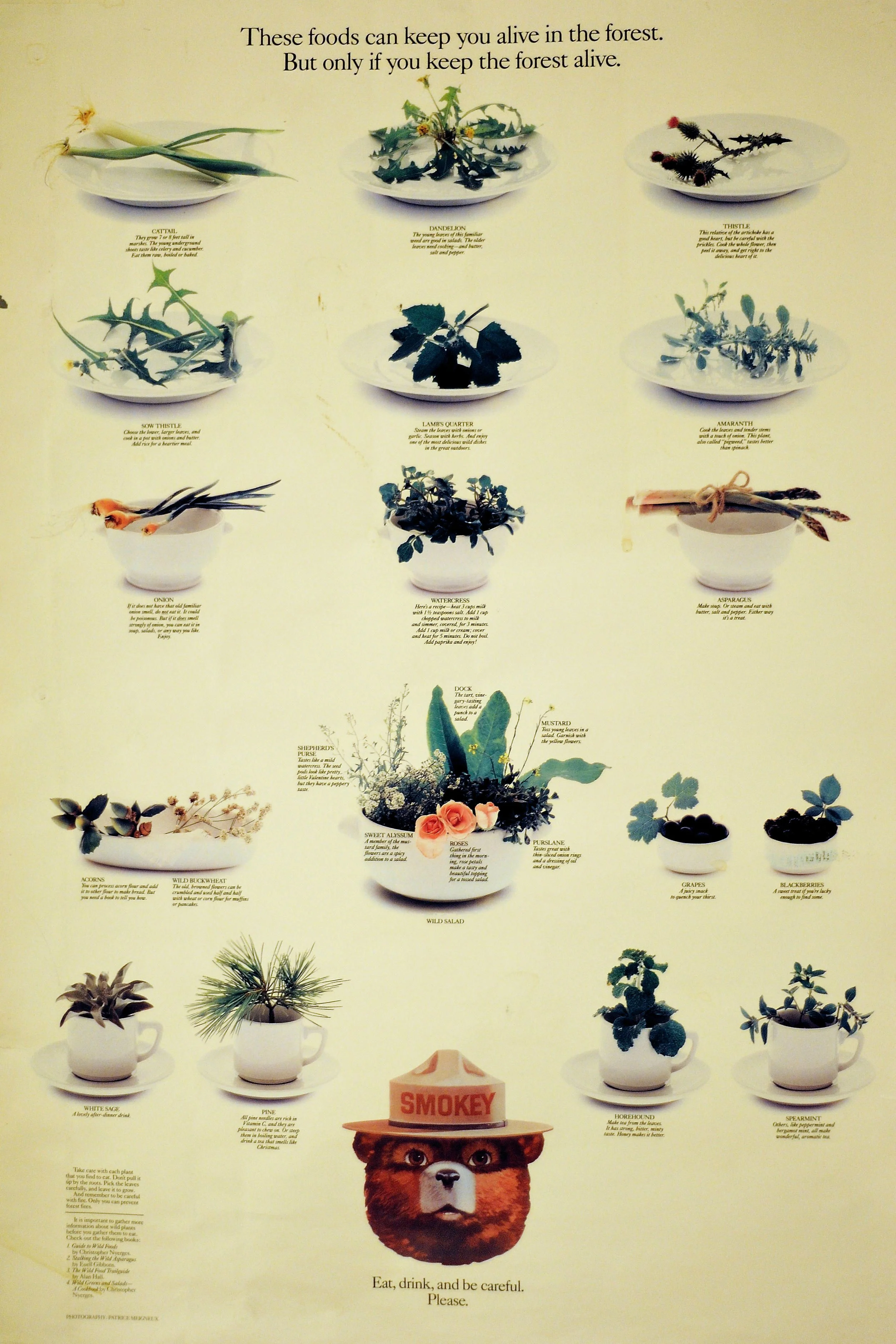 D5uJbWD.webp