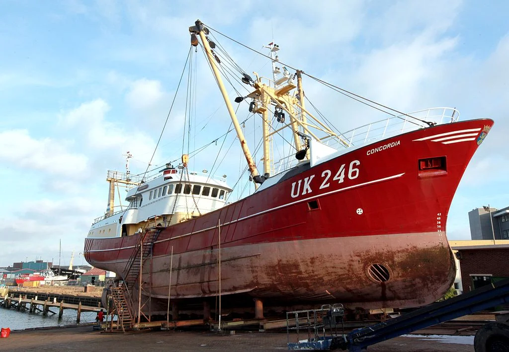 dk0web4.webp
