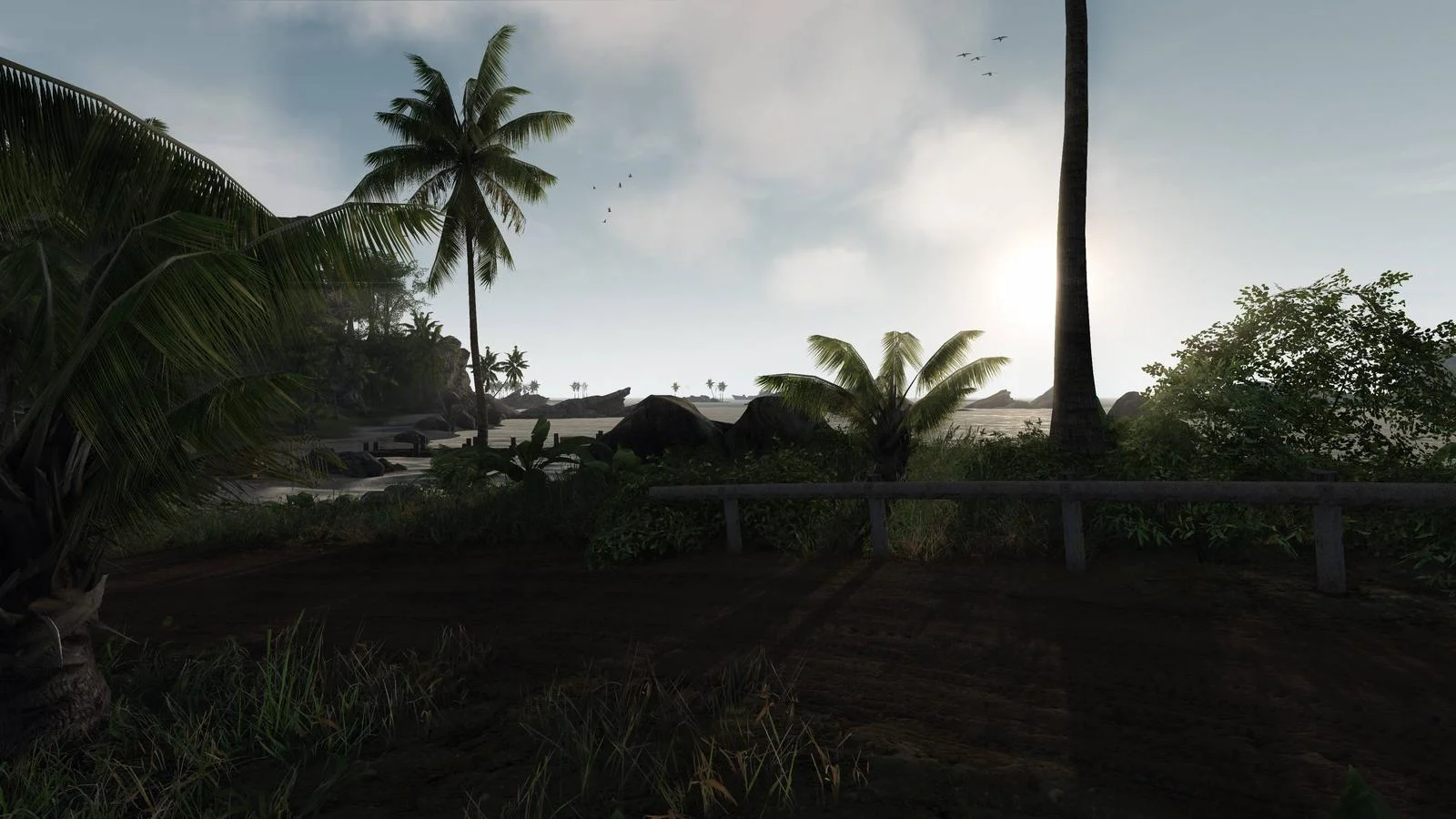 dZm47.webp