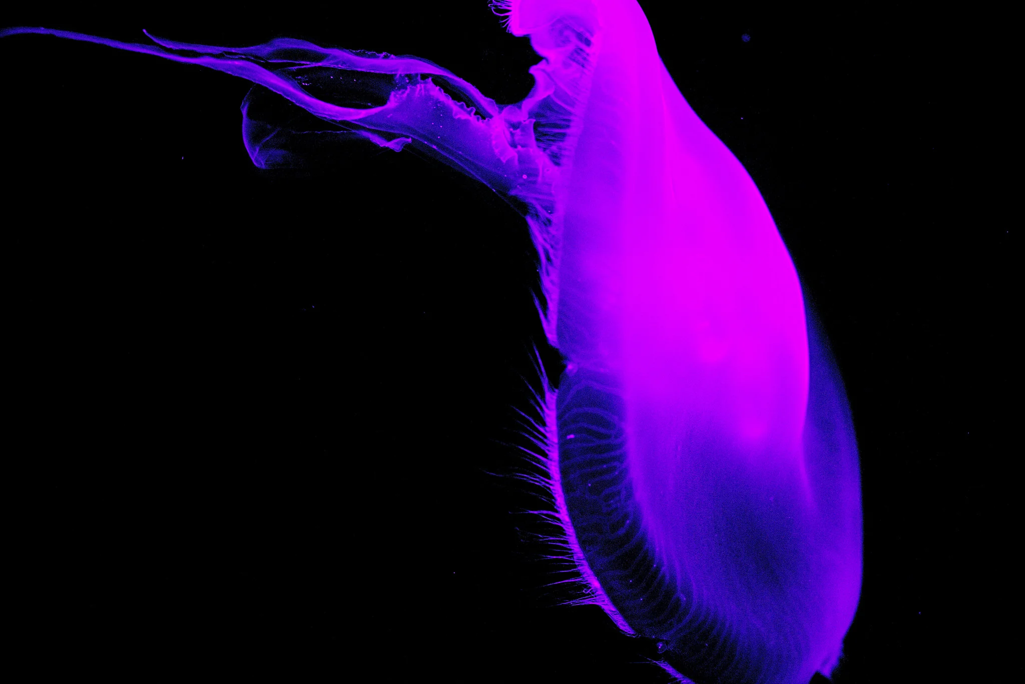 E4NkpgR.webp