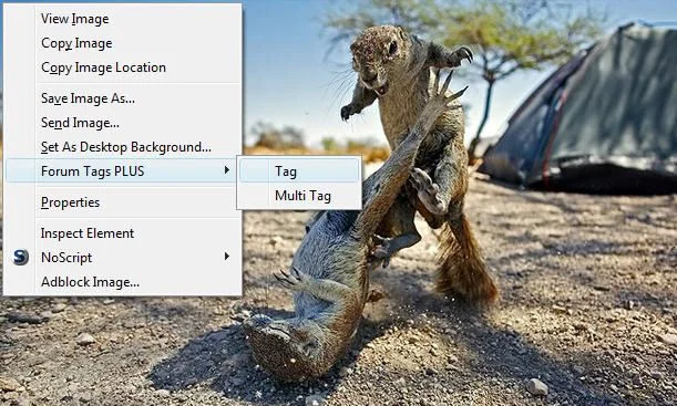 E5cgejW.webp