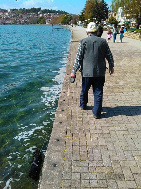 e7kYjjF.webp