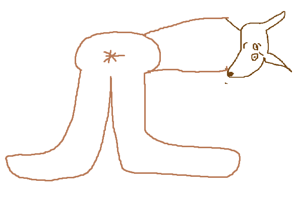 EFqtT.png