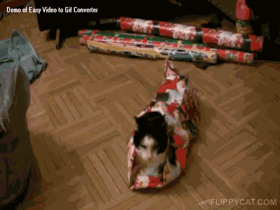 FahcU5y.gif