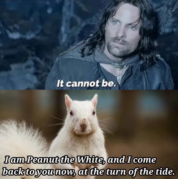 fB40hbw.jpeg