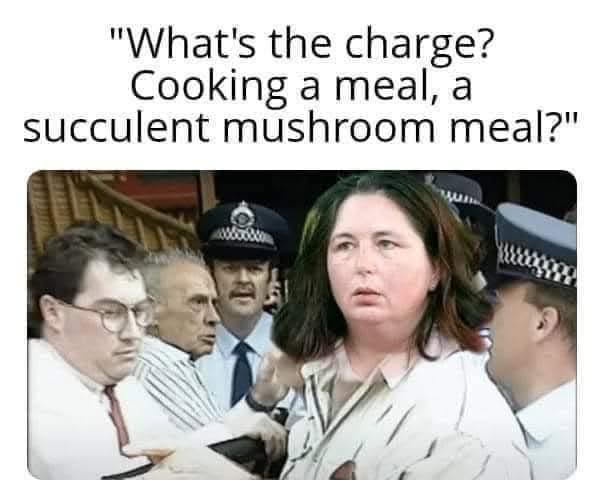 fi2J9MZ.jpeg