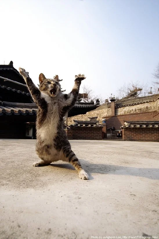 FjgHu.webp