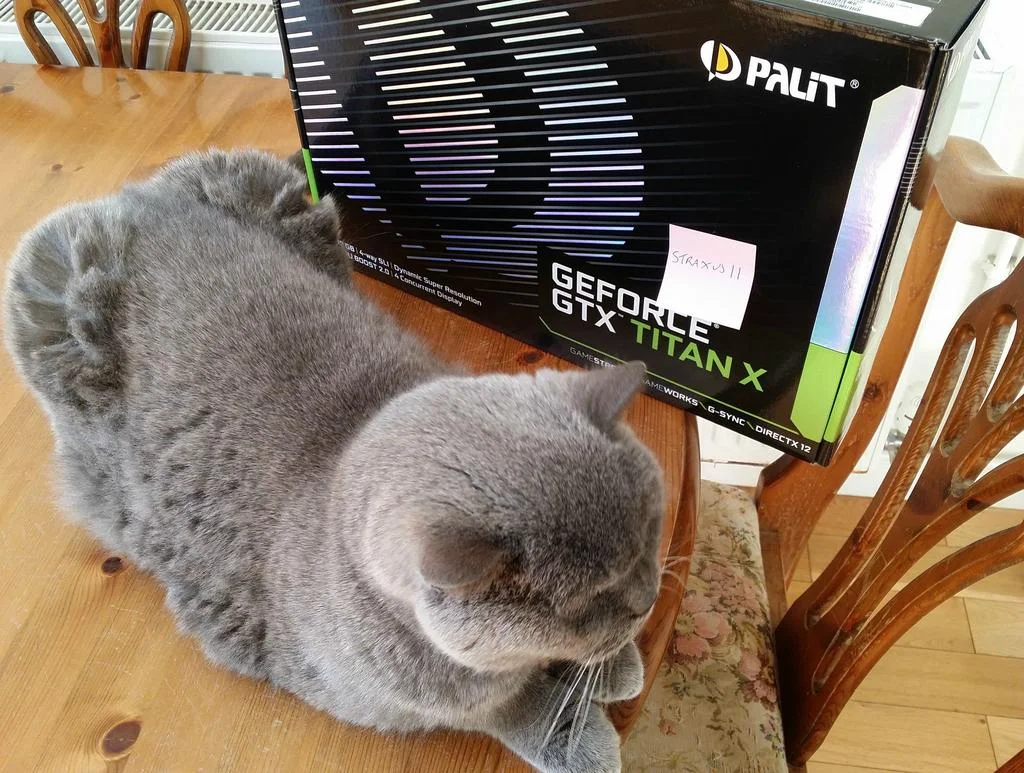 FKmj0Kx.webp