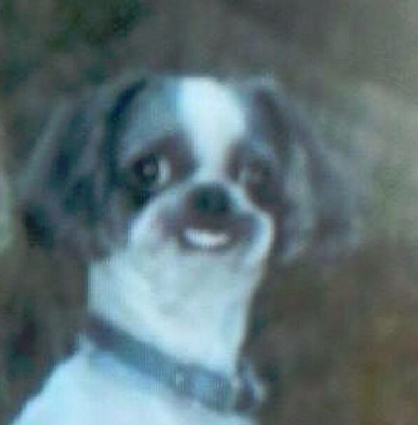 fLdkhpp.jpg