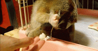 FMaGQNy.gif