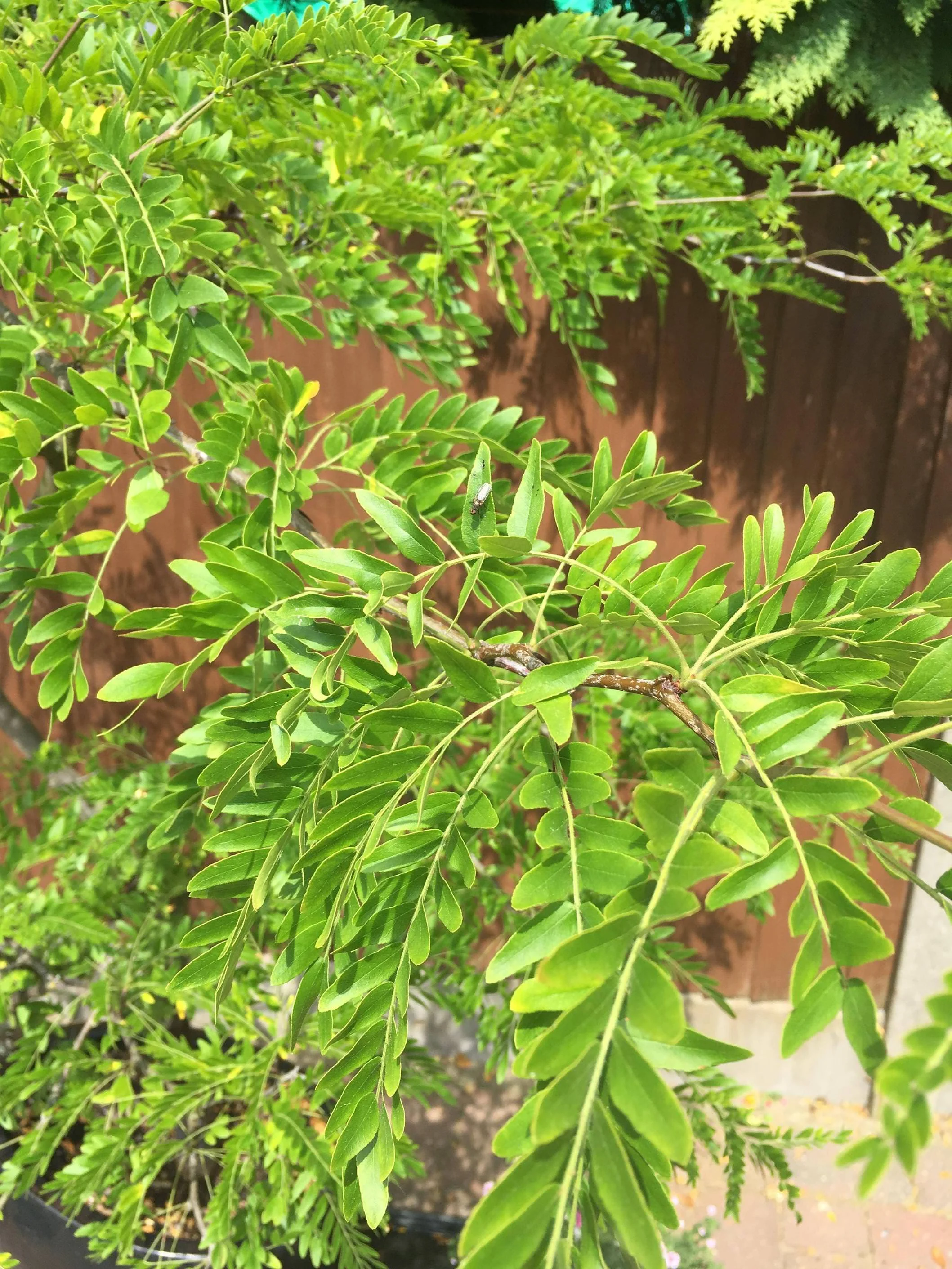 FZcU9Gr.webp