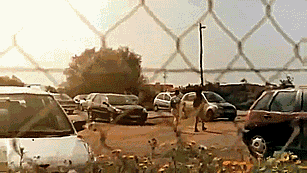 g79mnWu.gif