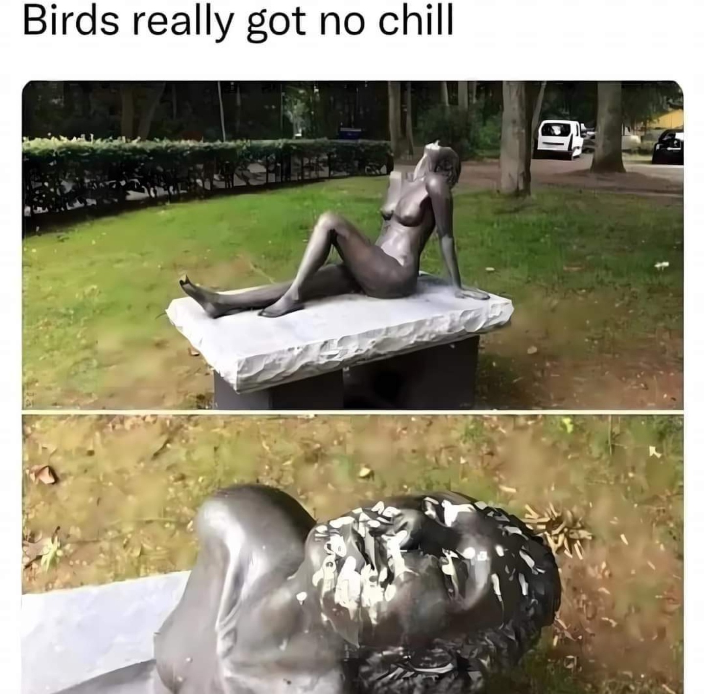 g94cBd8.jpeg