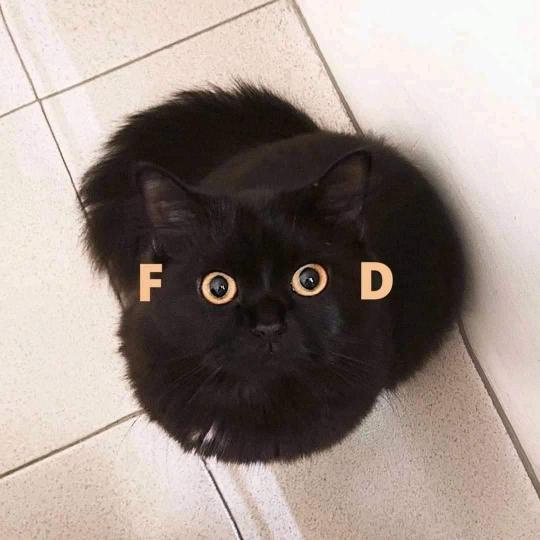 GdIxQwS.jpeg