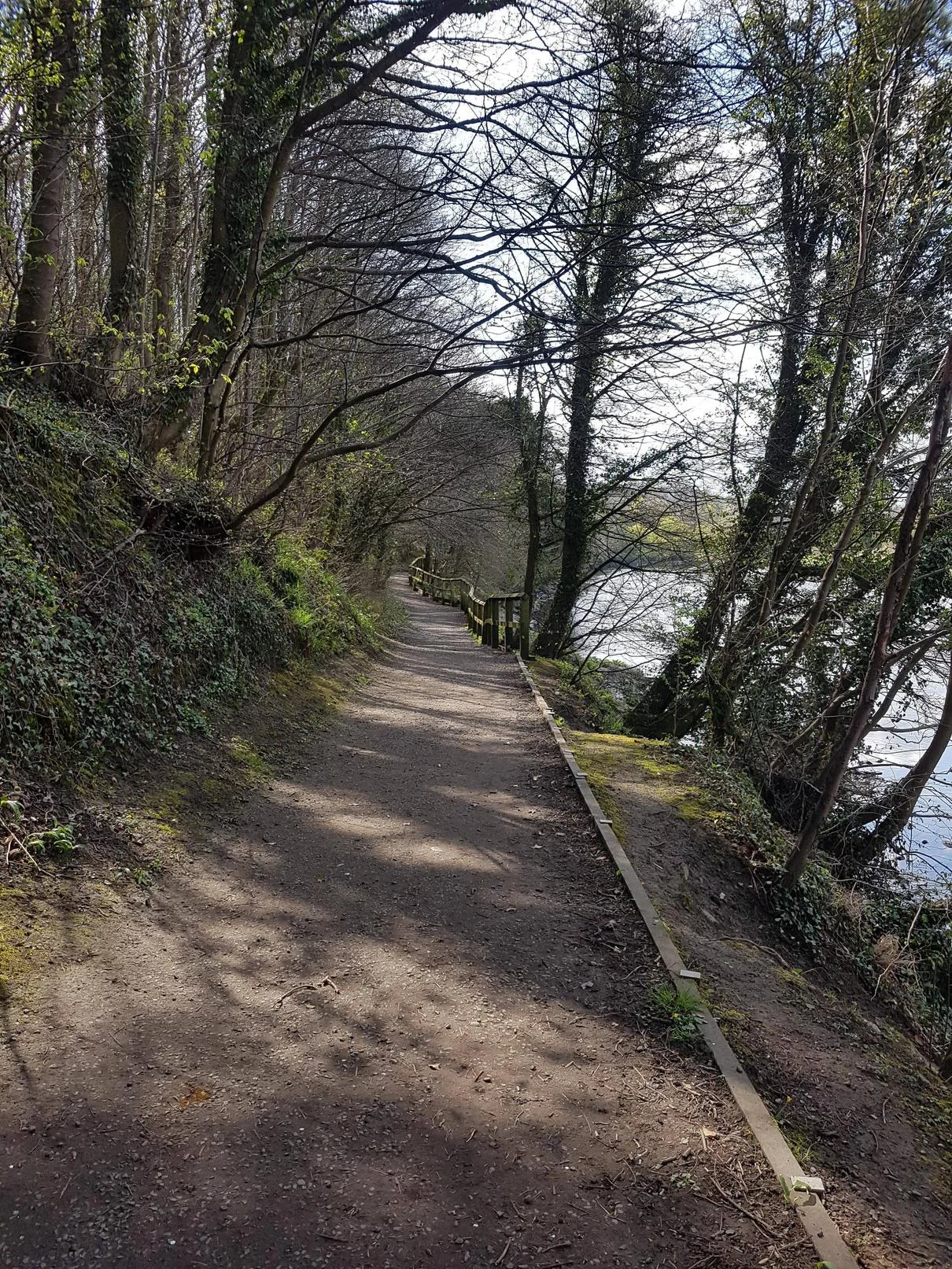 gDxZ9cs.webp