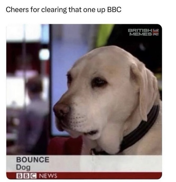 gptdhbo.jpg