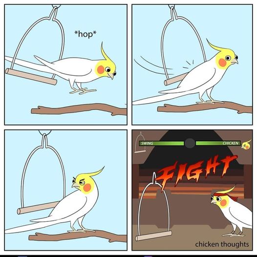 GQpfoy0.jpeg