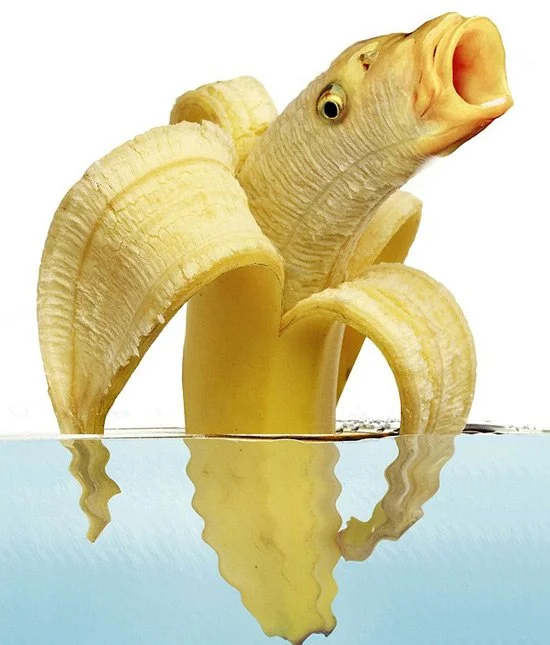 HjRAVcD.webp