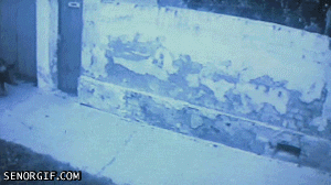 IDspU.gif